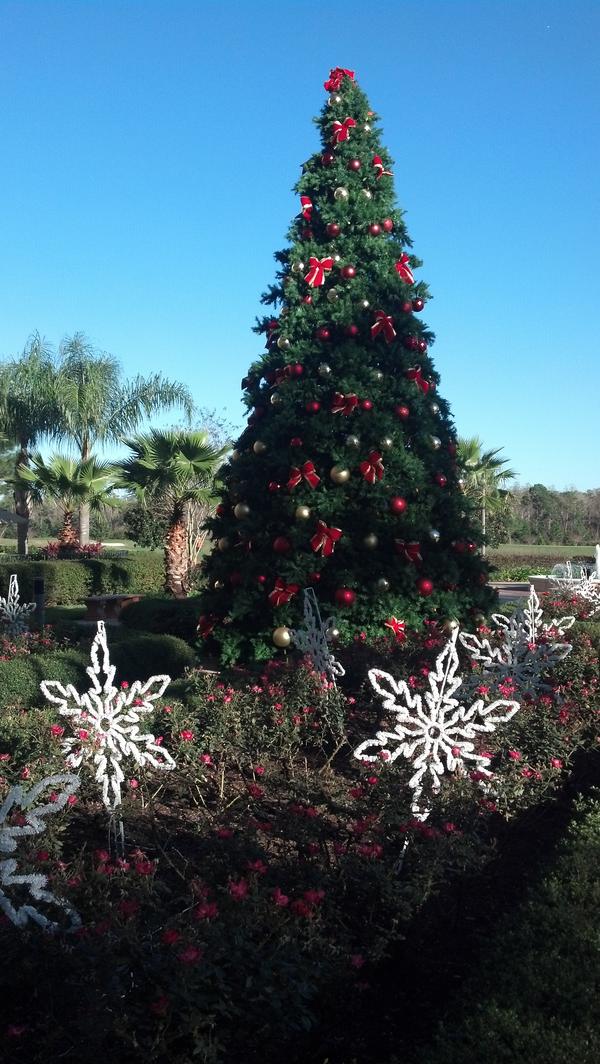 RUVisitorCenter's tweet photo. Christmas Orlando style. #ChopVT http://t.co/IDiYkOoN