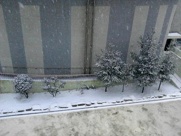 pyh2980 tweet picture