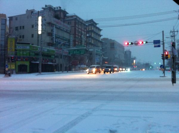 차진근 tweet media