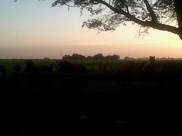 milichei's tweet photo. Excelente atardecer en venado tuerto @moirigon http://t.co/xQRKKAqf