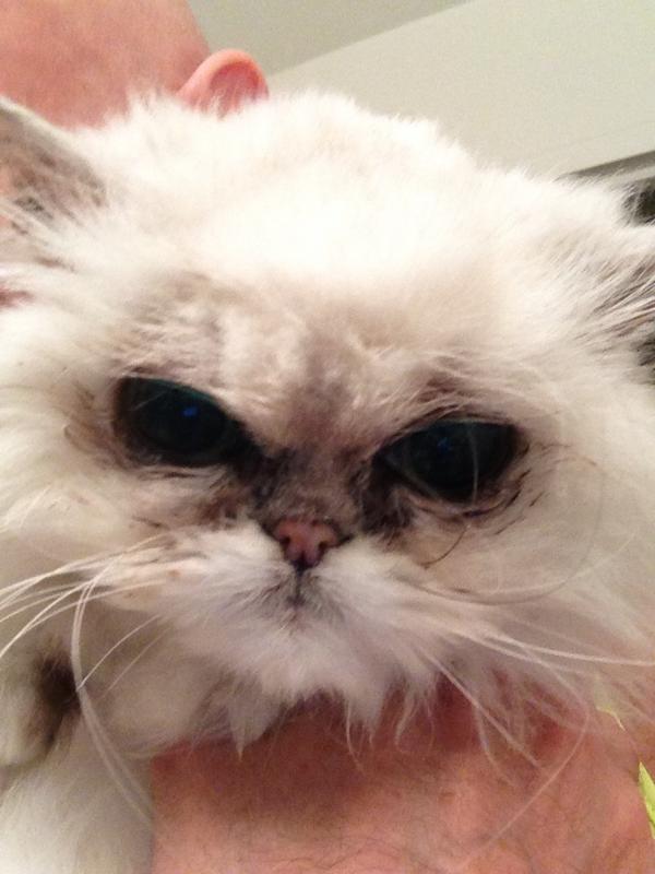 JulesLevin's tweet photo. #juleslevin http://t.co/QGbMHf9g