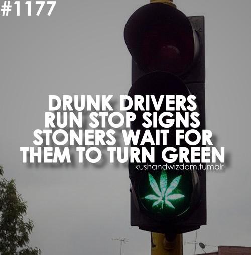 ShizzleOff's tweet image. #FoPic #Marijuana #TumblrWeed #Retweet  #Follow4Follow