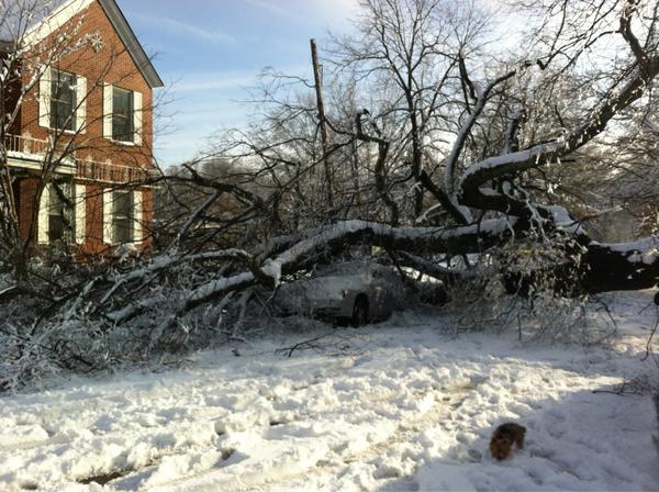 sgeode's tweet image. So the tree laying across street and on neighbors car is popular on the news! We would rather it get cleared though.