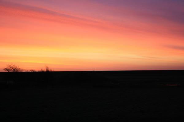 Nu super lastminute op onze site om in januari lekker te genieten op Terschelling