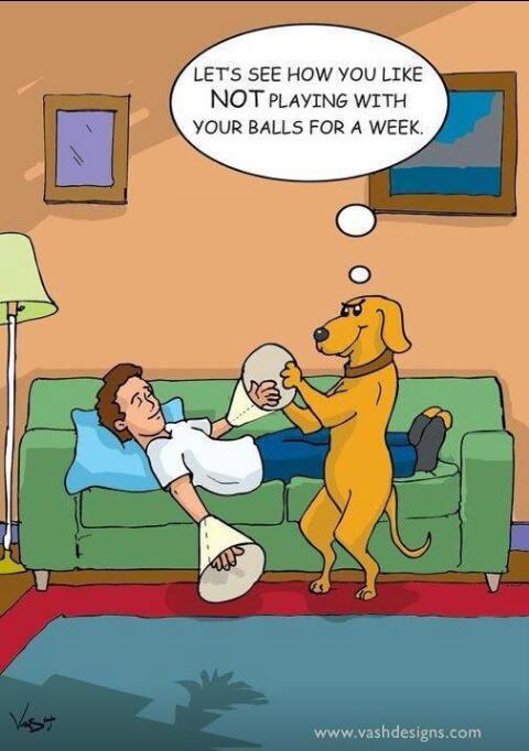 Ramón Mata (@capitanmata) on Twitter photo 