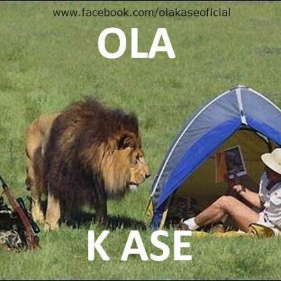 OlaKAseChapinn's tweet photo. Un leonsito http://t.co/o9u9YOHc