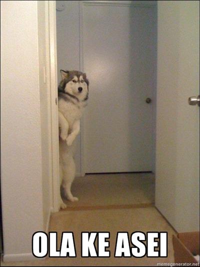 OlaKAseChapinn's tweet photo. Un tu chucho asi http://t.co/tshXROVV