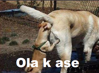OlaKAseChapinn's tweet photo. Este bajandose al poso, pero con todo y beso de trapiador http://t.co/XS4SvARG