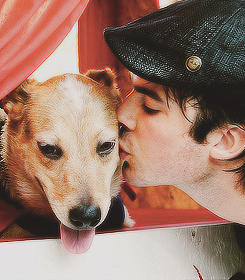 teamIANDISE tweet picture