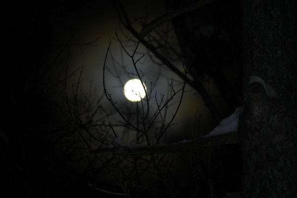 11Designworks tweet picture