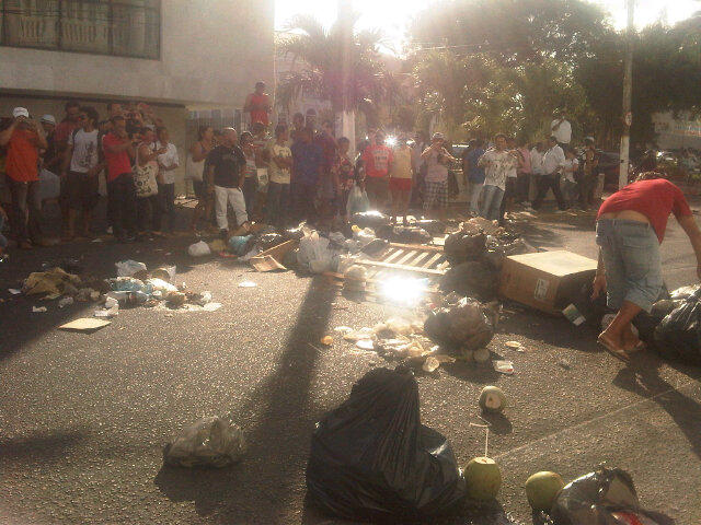 Fotos- Xô Inseto! Fotos- Xô Inseto!