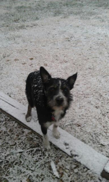 NatWbb's tweet photo. IT'S SNOWING : D http://t.co/OH4pVUOl