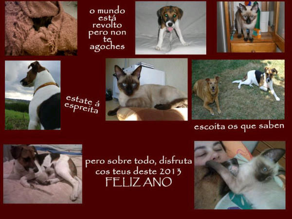 BegoDeibe's tweet photo. Feliz 2013 http://t.co/fyWfzEJi