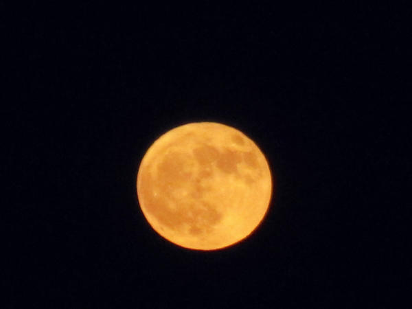 Nomiii73's tweet image. Úplněk :] #Awůůůů :D