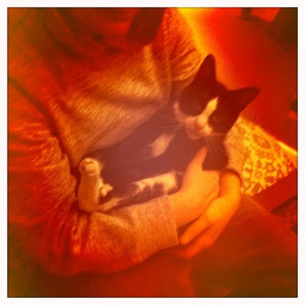 joleemonster's tweet photo. Mr C is happy to see Mom #Hipstamatic #KaimalMarkII #Blanko #CherryShine http://t.co/MWGy73vL