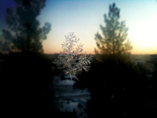 Aamukahvia parvekkeella.