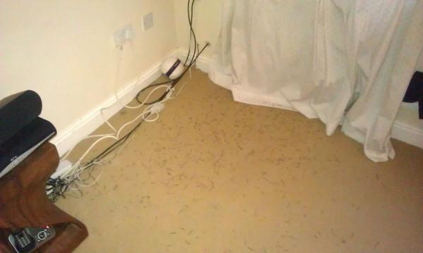 Boro_Monkey's tweet image. Christmas is officially over. #TreeGone