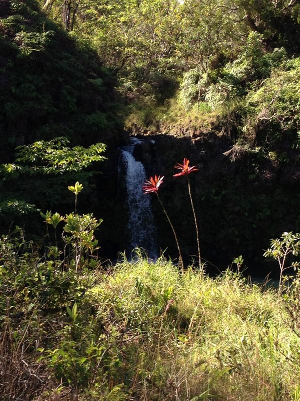 nuppiepatel's tweet image. #memoryoverload