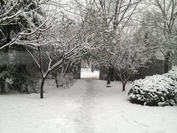 Chauncey (@zcares) on Twitter photo 