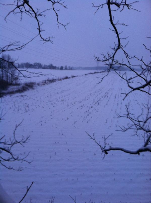 tim_angle's tweet image. Great morning in Ohio.