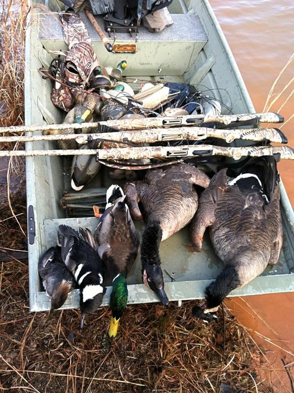 TreySorrells5's tweet image. Good Georgia hunt this morning! #wacknstack 
@DuckHuntingGent @duckhuntprobz @Hunter_DucksDxD @ducklanguage