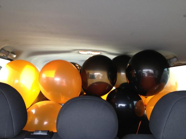 stephanuts's tweet image. The back of my car #AlamoBowlProblems #eventplannerproblems