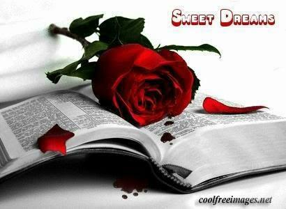 susys110377's tweet photo. @awade7871 @MentalPleasure @l8jxx71 good night sexy ladies ,,have a good evening ,,♥♥♥♥♥♥♥♥♥ http://t.co/bwk7yti7