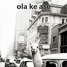 Andrea_CastM's tweet image. #AvanceCientifico En 2012 la &quot;clama&quot; mejor conocida como &quot;Llama&quot; pasa a ser llamada u identificada como &quot;Ola Ke ASE&quot;