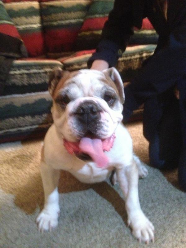 cilmark2's tweet image. New member of the Family "Beef"