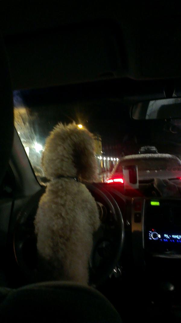 Føler meg i trygge hender