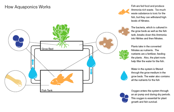 The_Fish_Doctor's tweet image. Greatest idea ever!