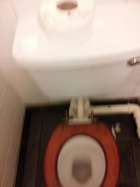 Gottylad's tweet image. 10 years since iv been in this pub and the f##k toilets have never changed #deseased