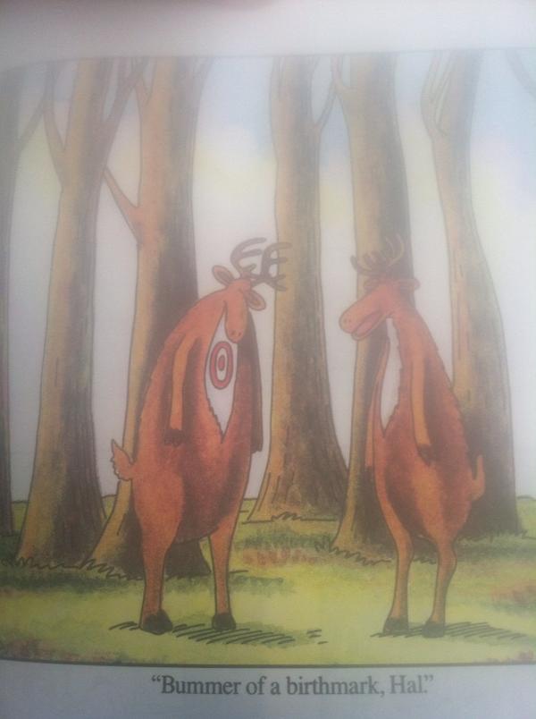 FarSideDaily's tweet photo. http://t.co/4RVW33rO