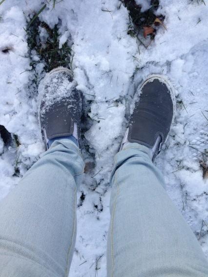 vans in winter