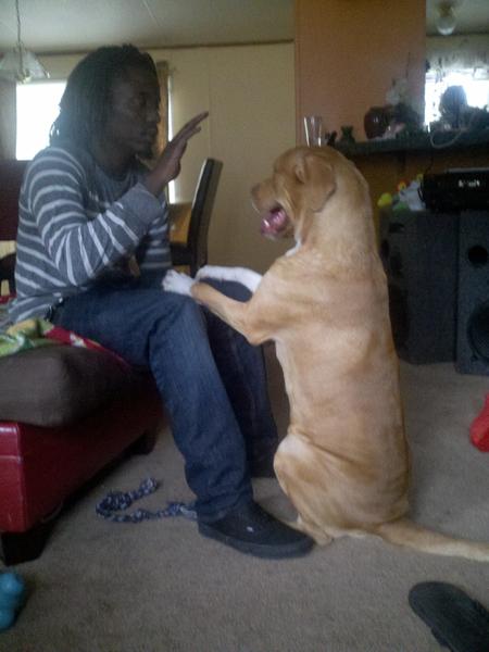 ChicoMFstiick's tweet image. The official mascot of #TPWS #TANK @LikeAMFBoss91 @willdabeast91 @CochinoKing863 @AllDay89 @bigMFdaddy @Kharmonator