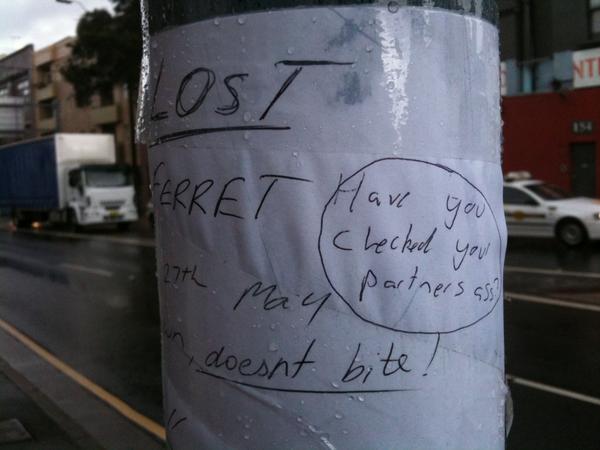 PeteThomasOz's tweet image. #anonymousnotes @julesmorrow A very helpful suggestion added to a lost pet (ferret) sign in Redfern