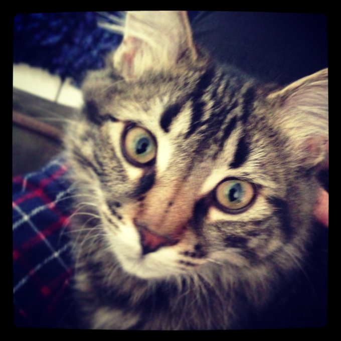Jack! http://t.co/gzA3KLZ3<a href="/tag/facial"class="tags"><span>#facial</span></a>
