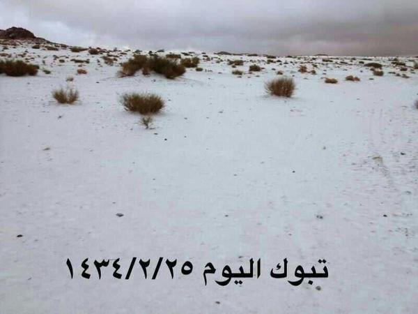 صور لتساقط الثلوج على منطقة تبوك اليوم الاثنين 25-2-1434هـ A__67xcCAAAdO4F