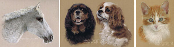 Hi new followers @KidzKardz @the_tea_cosy @CollageCreator Pls c my pet portraits & wildlife art at facebook.com/AnimalSpiritArt