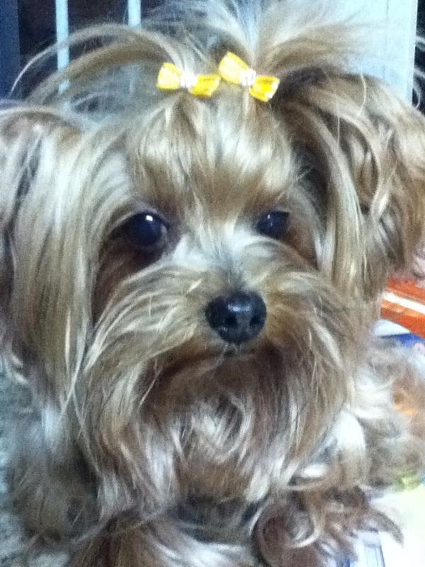 vannyjavarini's tweet photo. Linda da mamãe!!! http://t.co/bL8YVuAd