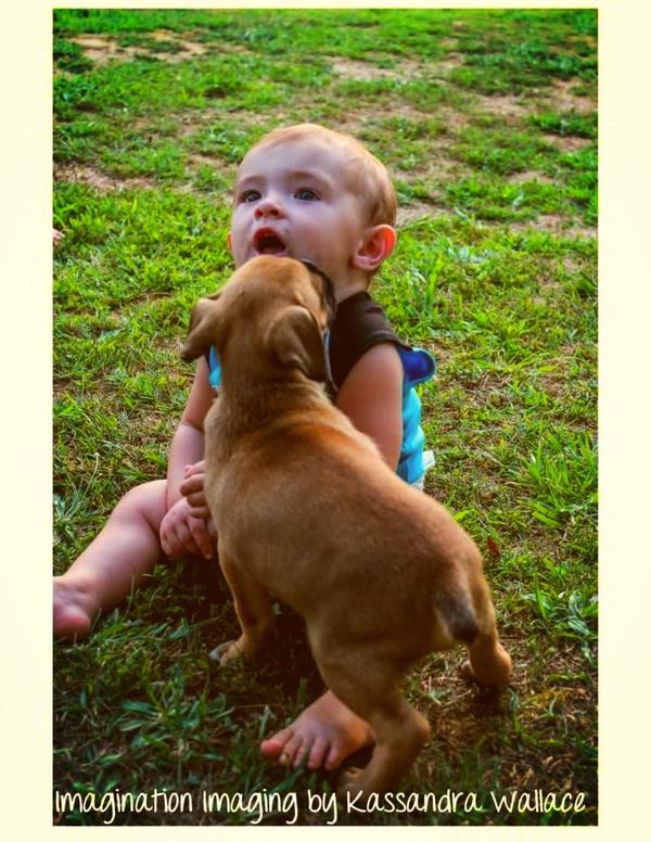 court_cm's tweet image. Bubby when he was about 7months and his puppy matrix #1miss