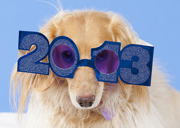 DatingChapter's tweet image. Looks like Everyone is getting into the HApPy LOvEly Mood for 2013! ;-)