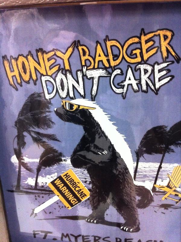 quinn_watson's tweet photo. @CecilyKonicek Honey Badger! http://t.co/nsXFNxDs