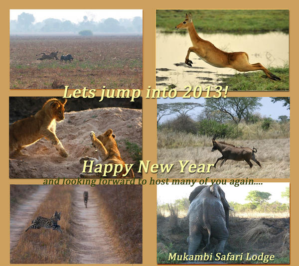 Happy new year to all authentic safari fans