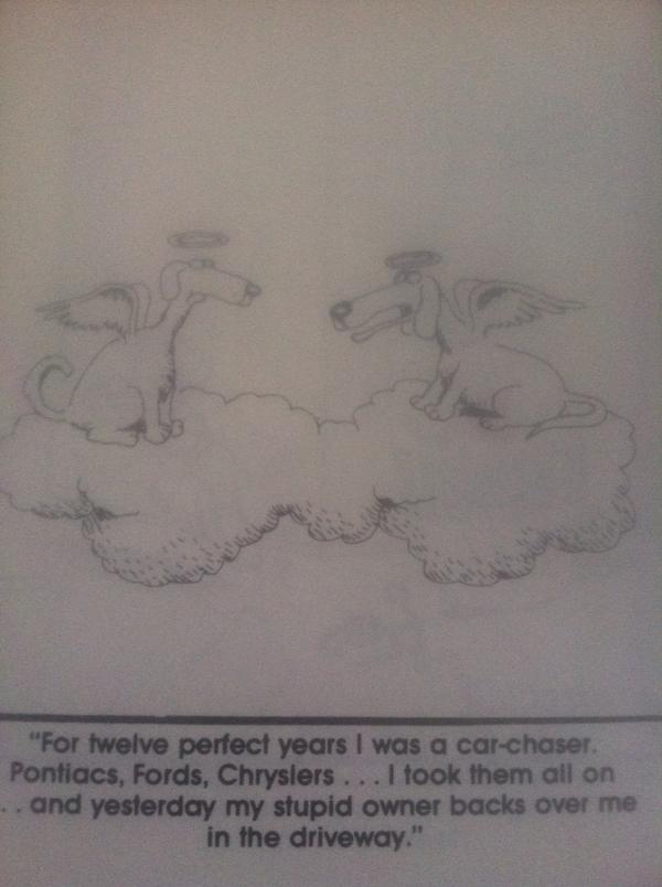 FarSideDaily's tweet photo. http://t.co/uWj02MR5