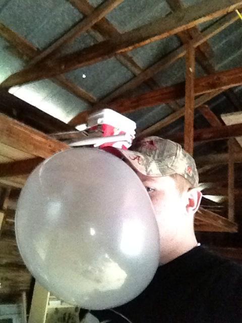 🔴💊 tweet media