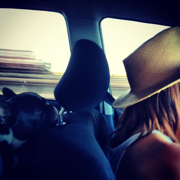 dignityrebel's tweet photo. Un #amigodeunamigo dio la vuelta al mundo con su perro a cuestas. Preparate liona http://t.co/a5yOPaxo