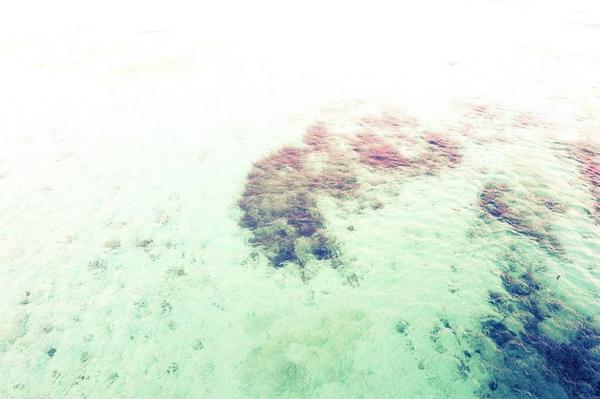 AnnnnMJ's tweet photo. 오키나와의 바다는 따뜻했다 http://t.co/mMgqeqDL