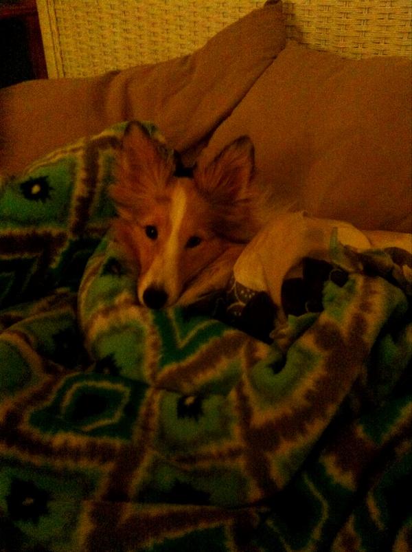 Boston Taylor Fultz (msladybanks) Twitter