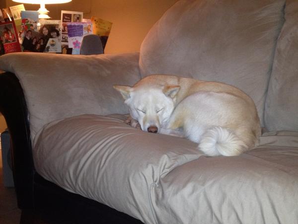 ashbren2's tweet photo. @MicHLsTiX1siX  someone can't hang on NYE... Just like their Dad http://t.co/d8XHkeJm